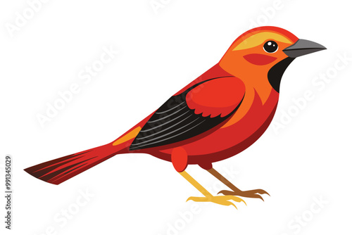 hepatic tanager bird-vector-silhouette D.eps photo