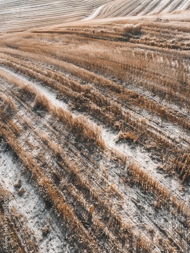 Farm field plowed and ready for planting, showing signs of dust and activity. Field is barren without crops.