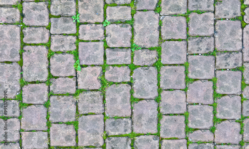 Concrete paving outdoor seamless texture and background. Concrete paving outdoor seamless texture and background.