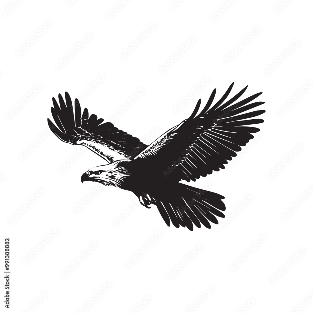 Obraz premium vector Silhouette of Flying Eagle bird
