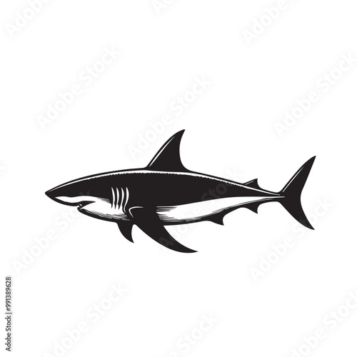 Shark silhouette vector design full black and white. Shark logo, icon design. shark black silhouette isolated on white background.
