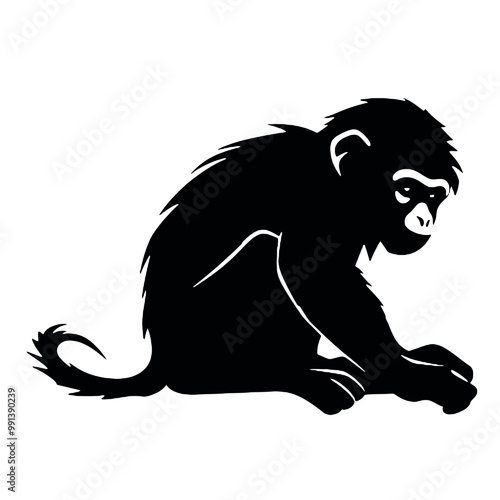 monkey  silhouette vector illustration  transparent background photo