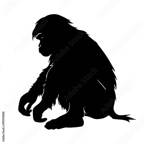 monkey  silhouette vector illustration  transparent background photo