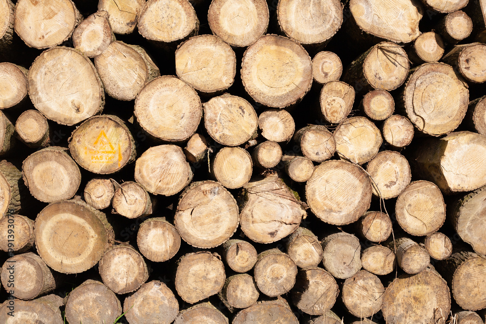 Pile of wood logs. Natural wooden background with closeup of clean cut of chopped firewood logs. Pile of wood logs. Natural wooden background with closeup of clean cut of chopped firewood logs.