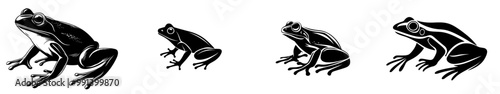 Black and white drawing on transparent background, grenouille or crapaud