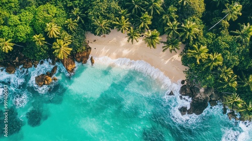 Aerial View of a Secluded Tropical Beach