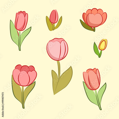 set of collection tulips flower vector IIlustrations for elements, clipart, sticker photo