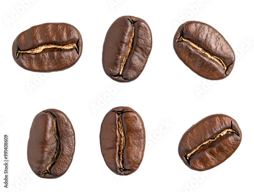 a group of brown coffee beans photo