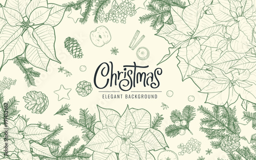 Modern Merry Christmas design with typography, poinsettia, pine cones, pine branches. Elegant vector hand drawn illustration for season banner, poster, cover