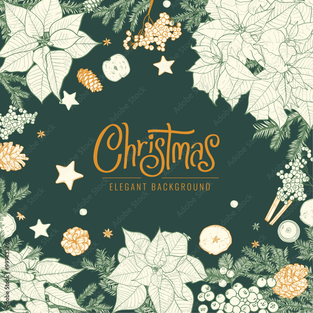 Fototapeta premium Merry Christmas square design template. Modern Xmas design with typography, poinsettia, pine cones, pine branches. Trendy vector hand drawn illustration for season banner, poster, cover