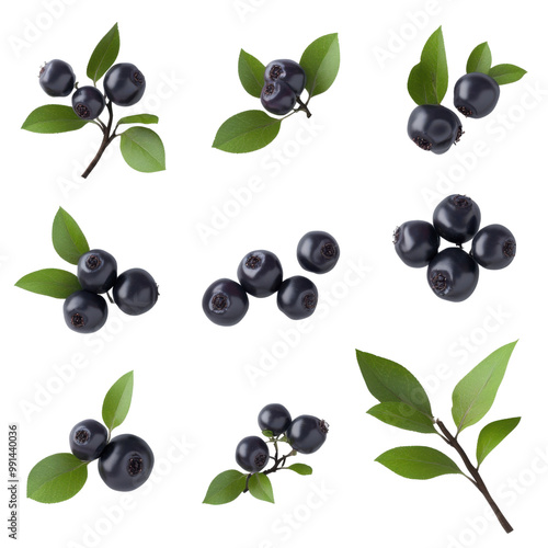 A collection of aronia berries with green leaves on transparency background PNG