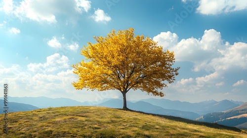 Yellow tree on a hill 