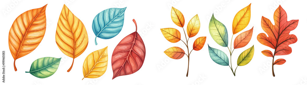 Obraz premium Colorful autumn leaves in various shapes and hues, isolated on transparent background