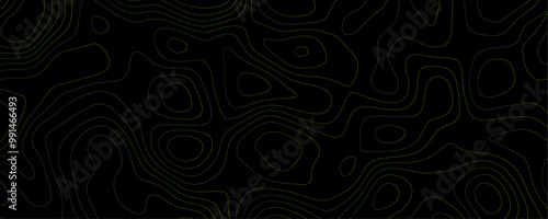 Abstract Topographic Landscape A Black and White Geometric Map Design with Contour Lines and Terrain Flow for Travel and Hiking Stories
