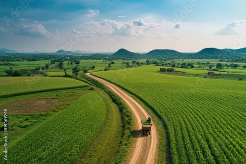 Aerial View of Indian Sugarcane Farm: Sunlit Fields, Bullock Carts, and Farmers in Action Amid Rolling Green Landscape photo