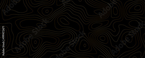 Gold Contour Line Art A Dark Geometric Topography of Mountain Terrain and Trails with Wavy Patterns and Modern Cartography Design
