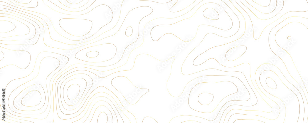 Luxury Terrain Map Illustration Wavy Geometric Contours with Gold Line Patterns and Organic Shapes in a Digital Topographic Design Luxury Terrain Map Illustration Wavy Geometric Contours with Gold Line Patterns and Organic Shapes in a Digital Topographic Design