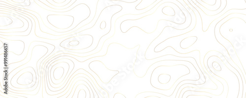 Luxury Terrain Map Illustration Wavy Geometric Contours with Gold Line Patterns and Organic Shapes in a Digital Topographic Design