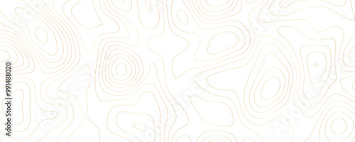 Premium Digital Topography A White and Gold Luxury Outline of Geographic Contours and Organic Terrain in Abstract Vector Illustration