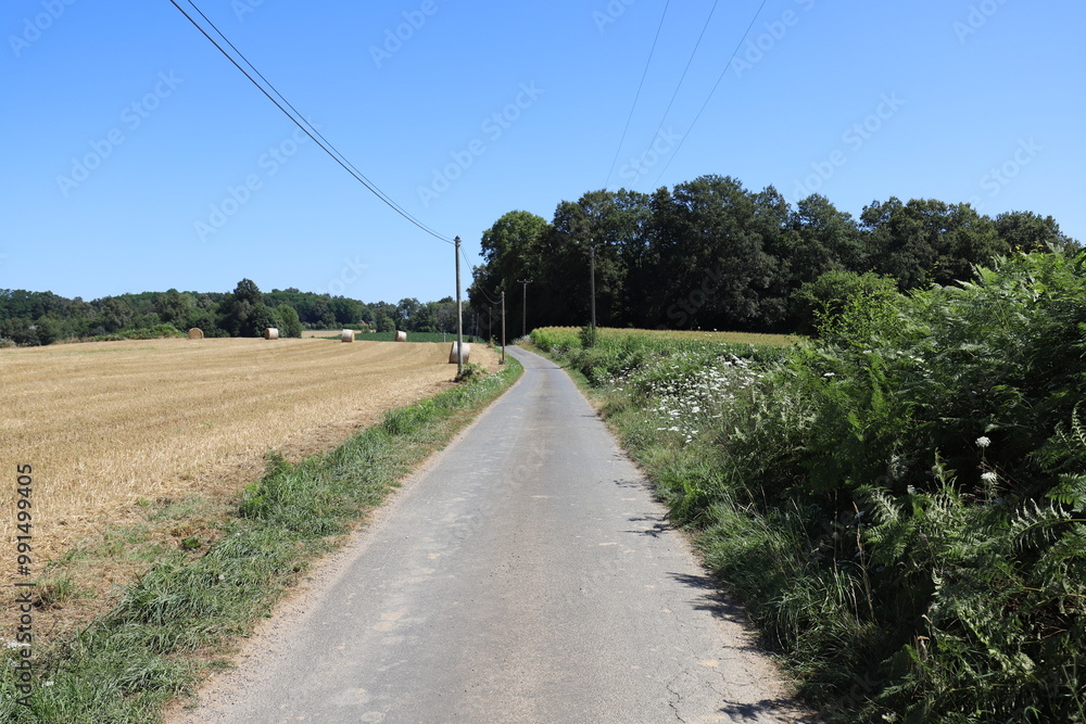 A small open road winds through French fields dotted with golden hay bales under a clear blue summer sky. A small open road winds through French fields dotted with golden hay bales under a clear blue summer sky.