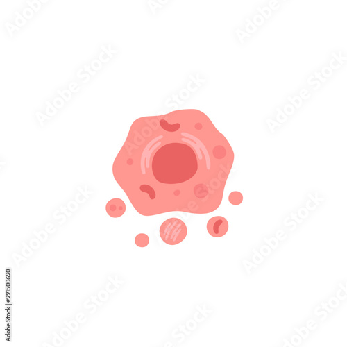 Apoptosis Illustration 