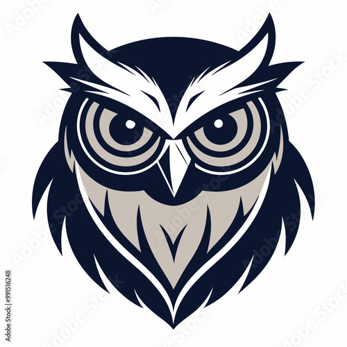 owl on white background