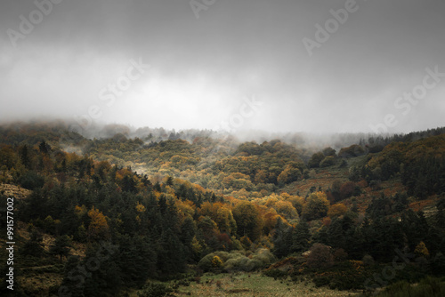 Paysage lozérien automnal