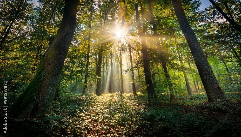 Obraz premium Brilliant rays of sunshine filter through thick foliage, producing a magical interplay of illumination and darkness, enhanced by a lens flare and a vibrant, surreal forest atmosphere