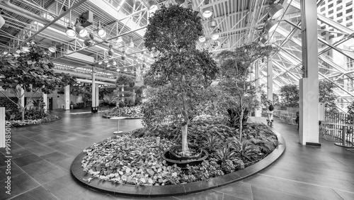 Calgary, Canada - July 10, 2024: Devonian Gardens in the CORE shopping centre photo