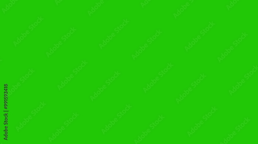 Golden Spiral animation with Green Screen.Fibonacci series Spiral line motion graphics animation. Fibonacci sequence motion graphics. Minimal line animation of Fibonacci spiral Golden Spiral animation with Green Screen.Fibonacci series Spiral line motion graphics animation. Fibonacci sequence motion graphics. Minimal line animation of Fibonacci spiral