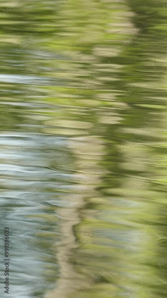 Forest Reflecting in the water Forest Reflecting in the water