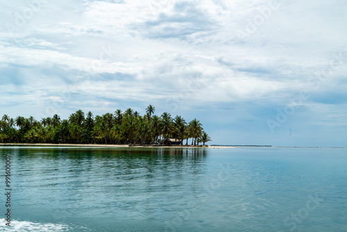 Amazing and beautiful island in San Blas, Panama with a lot of palms