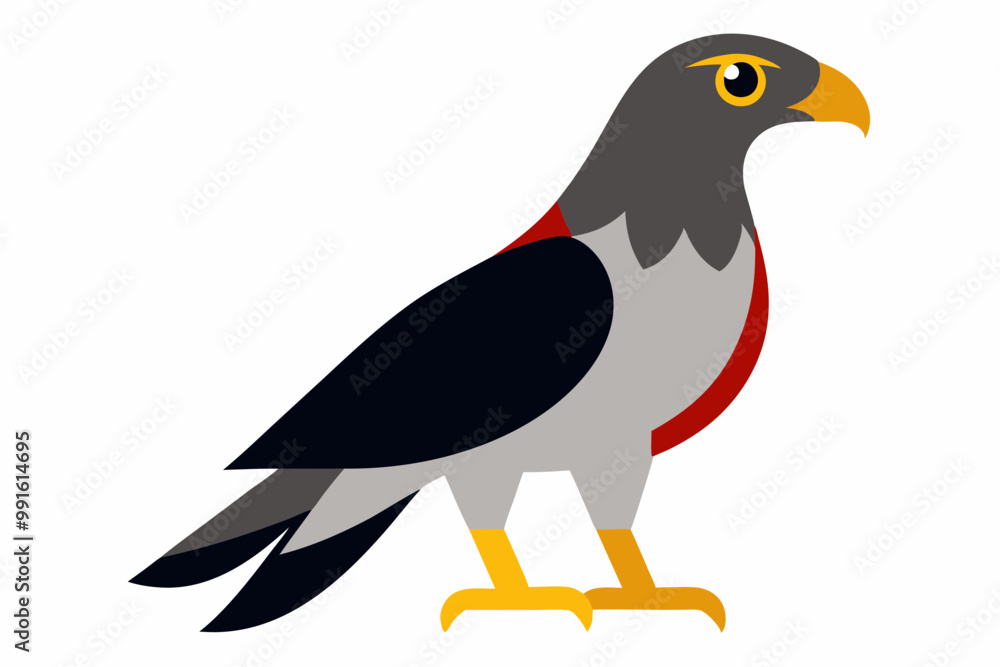 Creative vector design of African goshawk bird Creative vector design of African goshawk bird