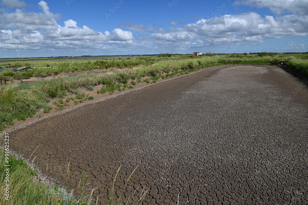 Fototapeta premium Mornac-sur-Seudre (Charente-Maritime)