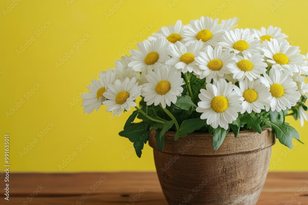 Beautiful white daisy flowers in a wooden pot on a wooden table with yellow background -.geneative ai Beautiful white daisy flowers in a wooden pot on a wooden table with yellow background -.geneative ai
