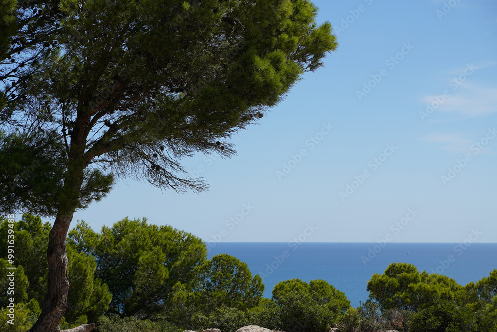 Landscape in the Camargue Provence South of France Landscape in the Camargue Provence South of France