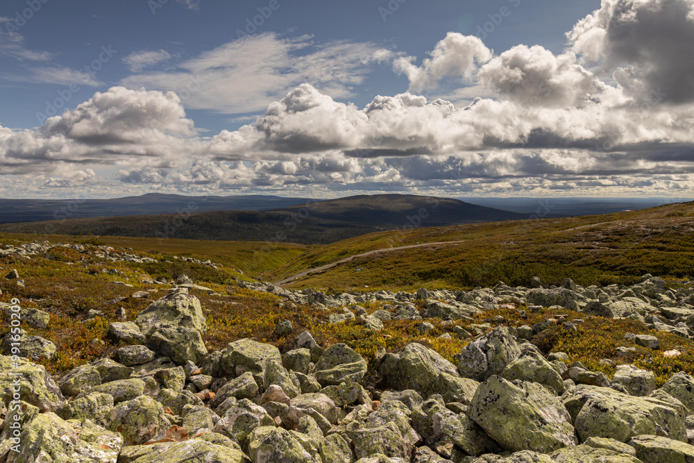 backpack, beautiful, cloud, cumulus, dalarna, desolated, europe, foliage, heather, hike, hiking, hill, horizon, idre, idre fjäll, landscape, mountain, nature, nature reserve, nipfjället, nordic, overv backpack, beautiful, cloud, cumulus, dalarna, desolated, europe, foliage, heather, hike, hiking, hill, horizon, idre, idre fjäll, landscape, mountain, nature, nature reserve, nipfjället, nordic, overv