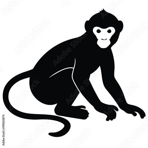 a black silhouette of a monkey. The monkey is sitting on its hind legs with its front paws on the ground and its tail curled around its body