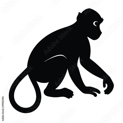 a black silhouette of a monkey. The monkey is sitting on its hind legs with its front paws on the ground and its tail curled around its body