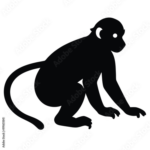 a black silhouette of a monkey. The monkey is sitting on its hind legs with its front paws on the ground and its tail curled around its body