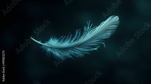 Teal Feather Silhouette on Black