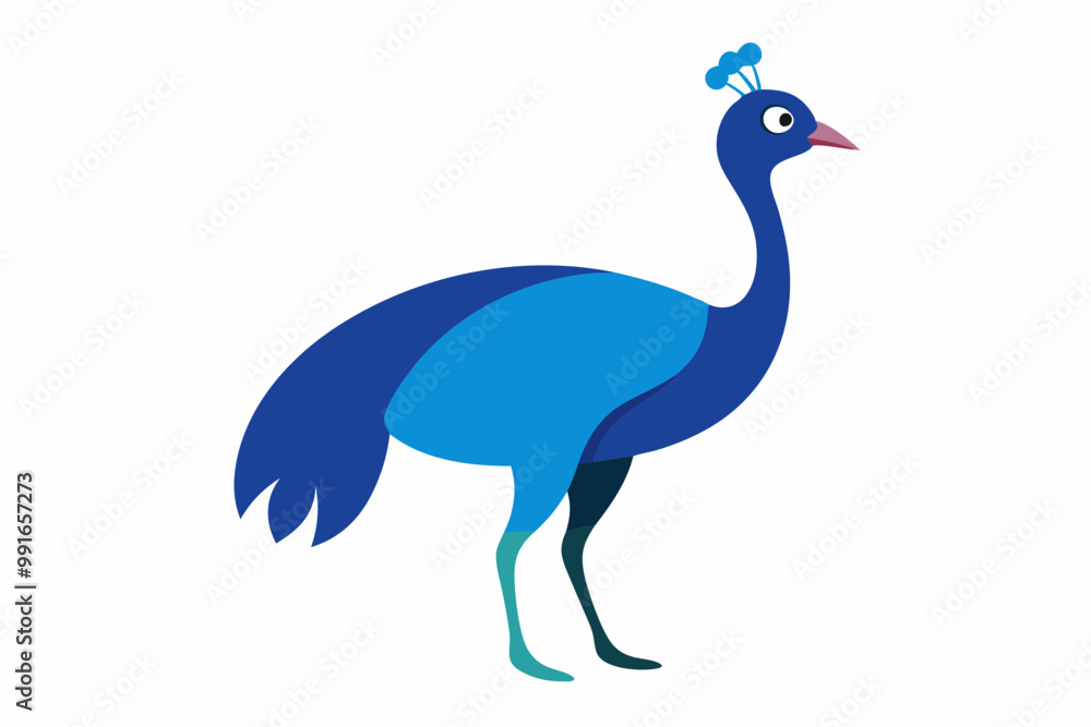 Fototapeta premium Cassowary bird creative vector design
