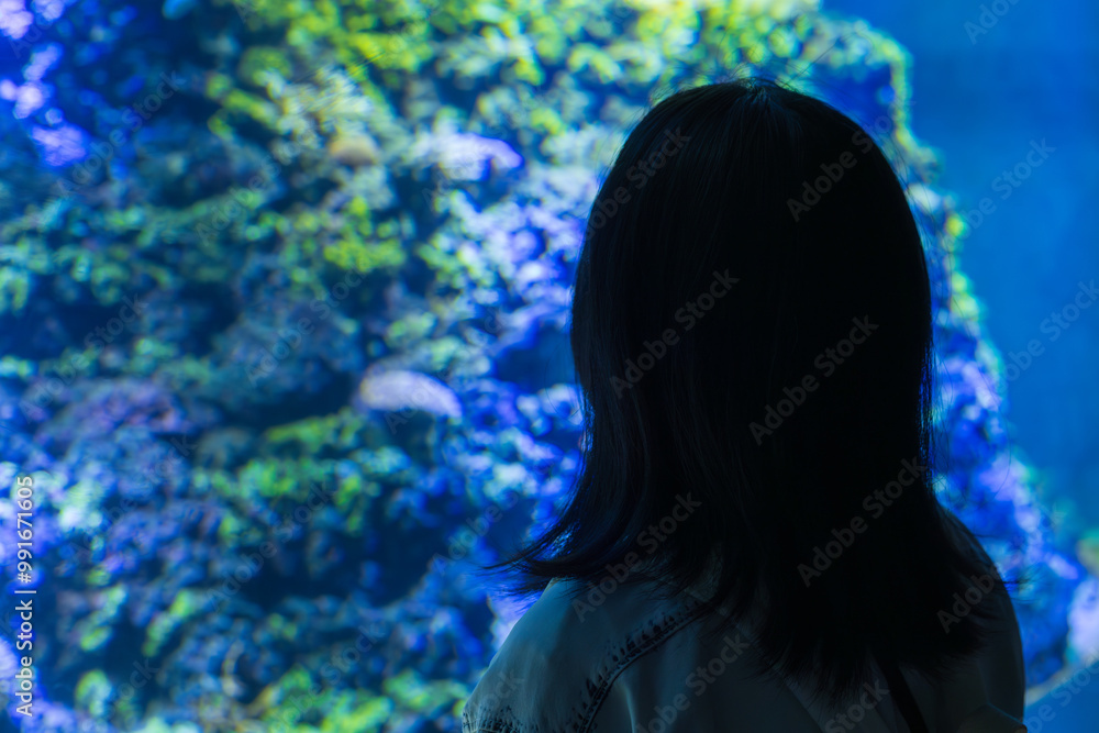 珊瑚礁の水槽を眺める後ろ姿の女性 珊瑚礁の水槽を眺める後ろ姿の女性