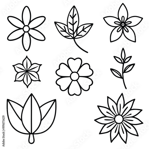 flowers and leaves line art decorative vector collection set silhouette