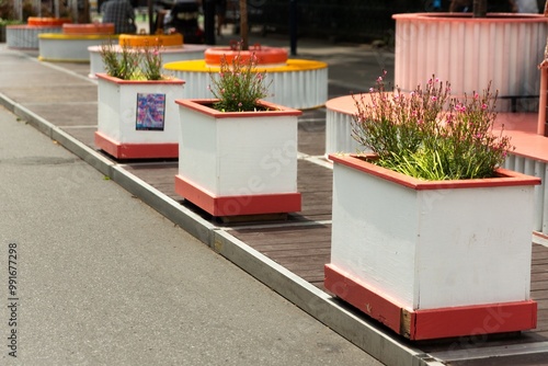 Photos Colorful planters line the sidewalk in a vibrant outdoor space during a sunny af