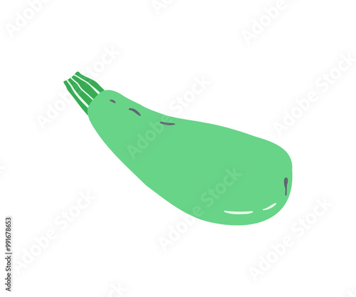 Zucchini hand drawn. Vegetables, healthy food. Vector illustration in flat style.