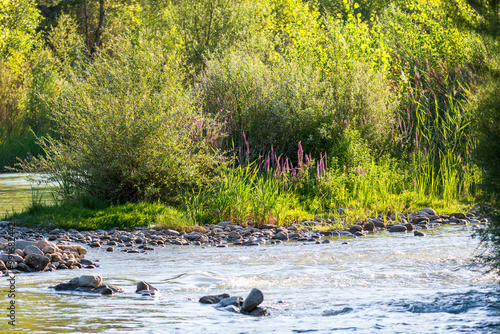 Río serpenteante entre rocas y abundante vegetación ribereña. Tonos verdes dominantes