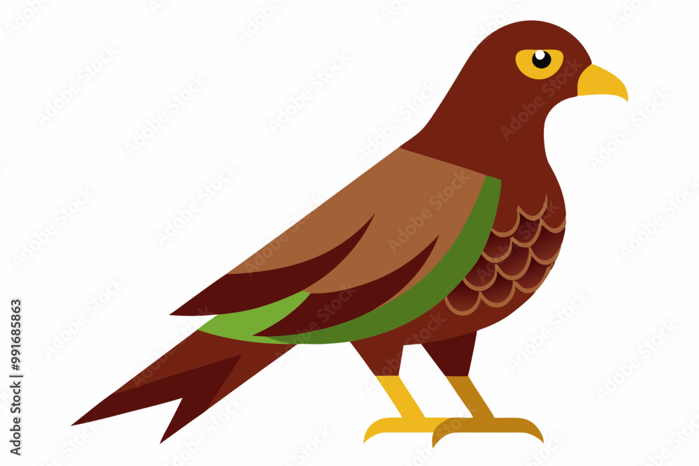 Obraz premium Forest buzzard bird vector illustration