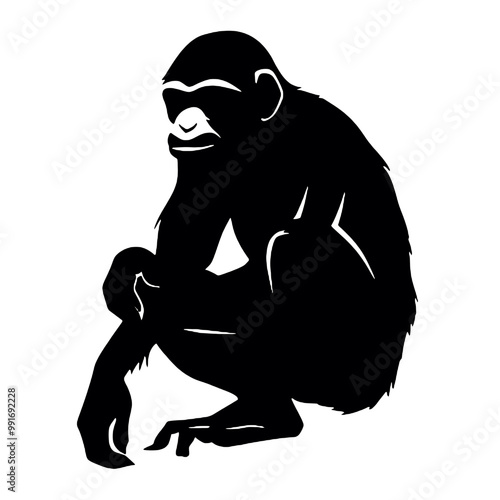 monkey  silhouette vector illustration  transparent background photo