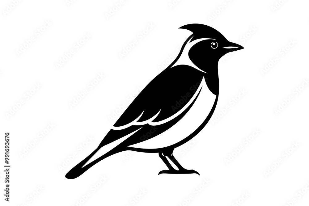 Fototapeta premium crow on a white background